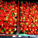 ���� ����, �����������, 56 ��� - ��������� 1 �������� 2022 � ������ ���� ����������