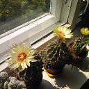 ���� �����, �����, 38 ��� - ��������� 9 ������ 2023 � ������ ���� ����������