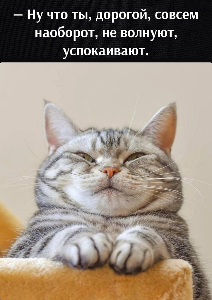       - 6  2022  12:00 - 2
