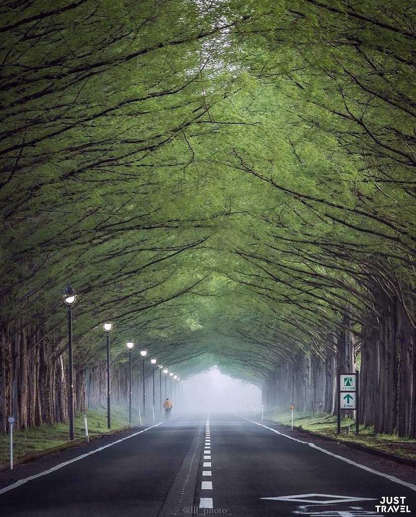 o.a ep, o #art #travel #world