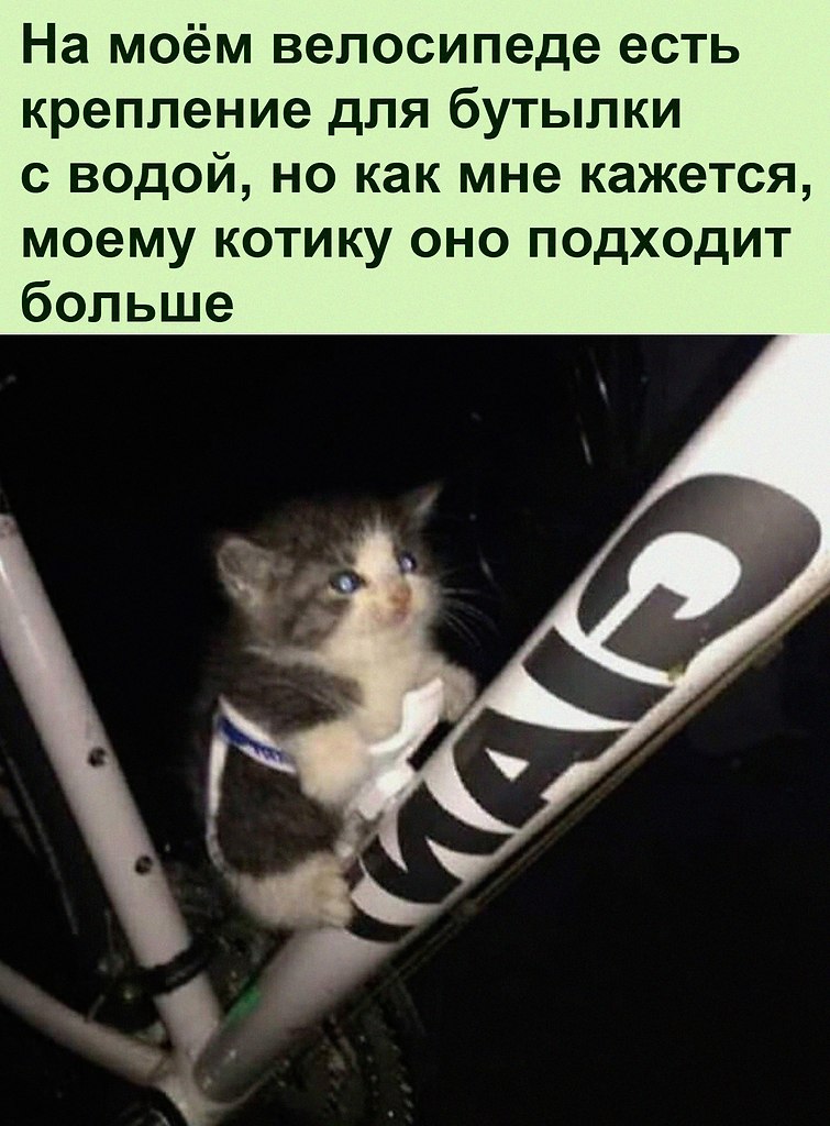   :D - 11  2022  08:46