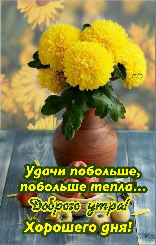   - 6  2022  01:05