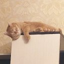 ���� ������, ��������, 49 ��� - ��������� 5 ����� 2022 � ������ ���� ����������