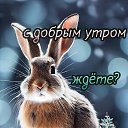 ���� �������, ������, 53 ���� - ��������� 14 ������� 2022 � ������ ���� ����������