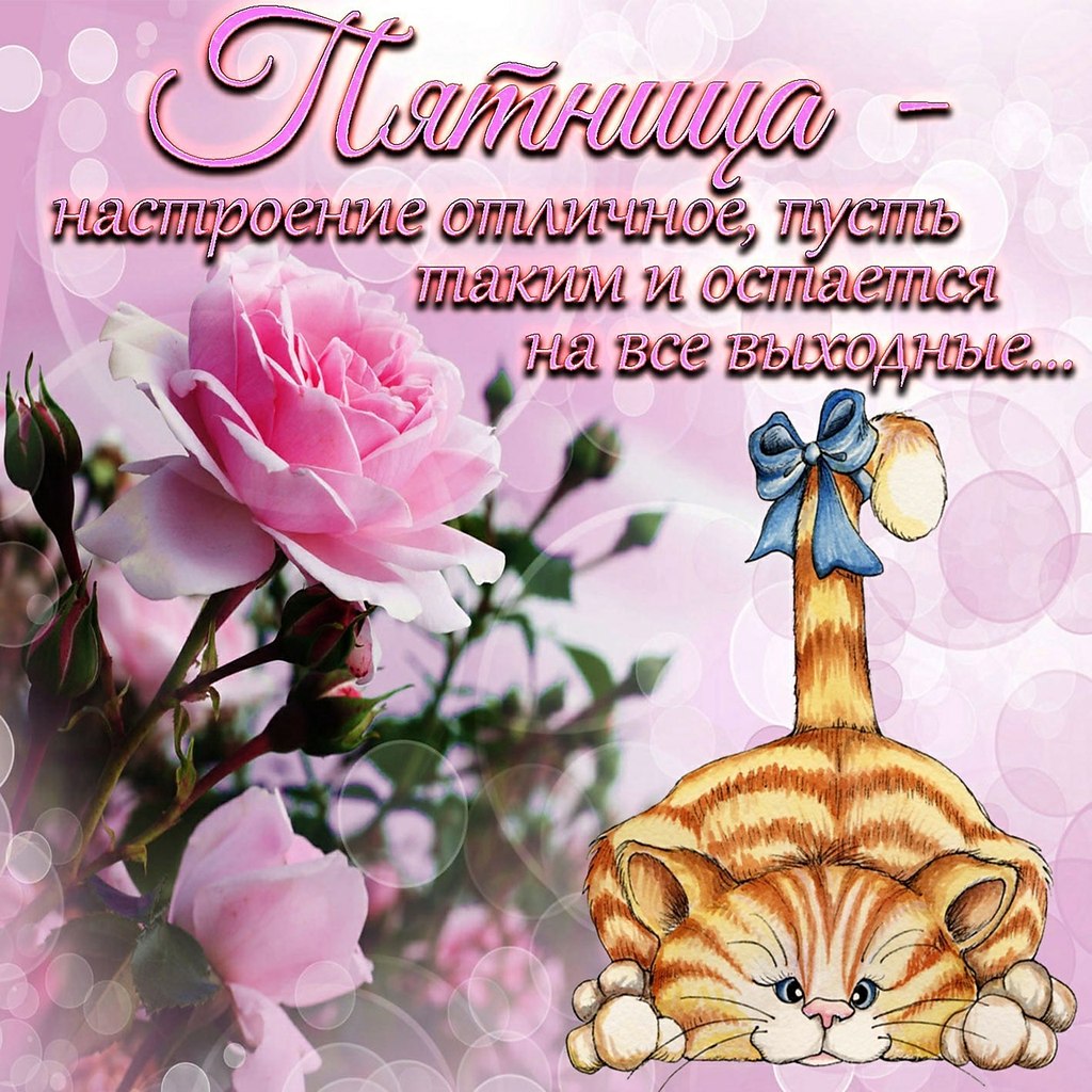   ,    . - 8  2022  12:40 - 2