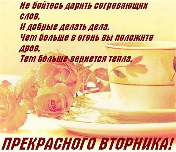 Zv   !!! V - 19  2022  13:58