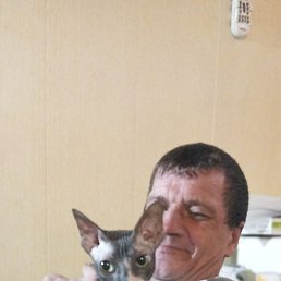 ������, �����������, 48 ���