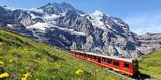 ���� Selim, �����, 44 ���� - ��������� 15 ������� 2023