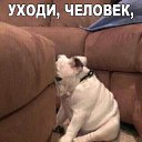 ���� �����, ���������� - ��������� 6 �������� 2022 � ������ ���� ����������