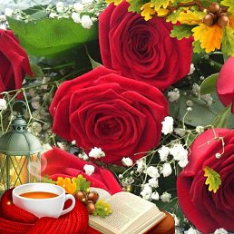 ������, ���������, 51 ���