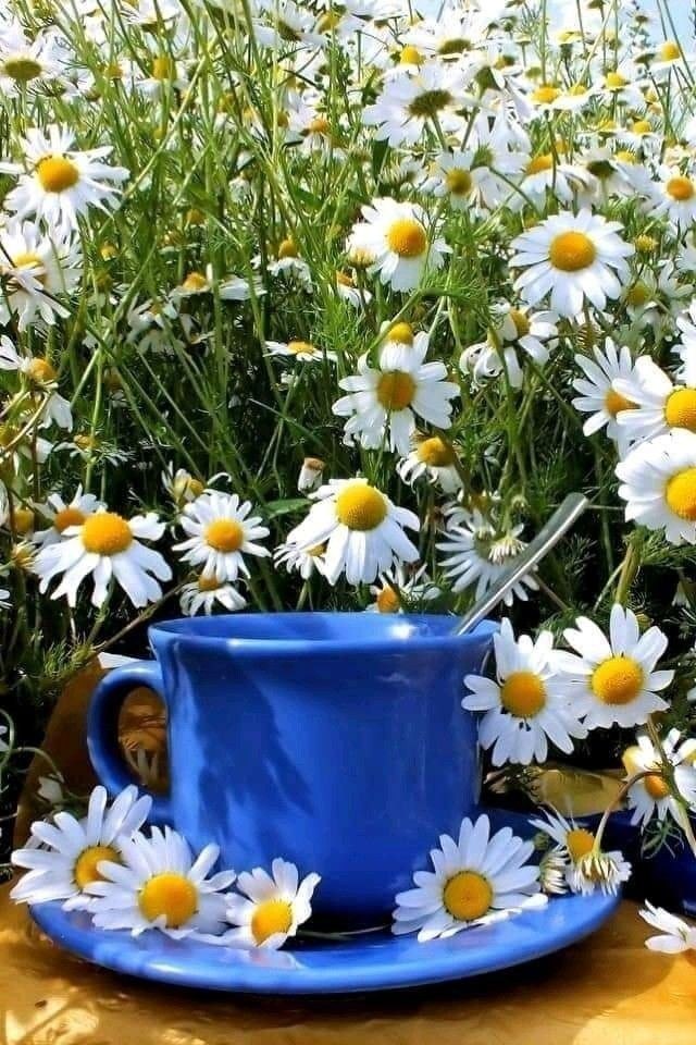 ЛЮБЫЕ НЕГАТИВНЫЕ ПРОГРАММЫ ОКРУЖАЮЩИХ, КАК И ПОЧЕМУ ОНИ ВЛИЯЮТ НА НАШУ ЖИЗНЬ. Нужная тема... я думаю ...
