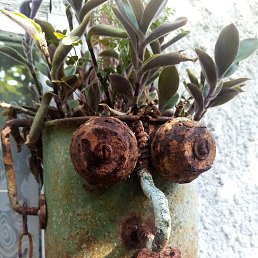 ���� �������, ���������, 56 ��� - ��������� 24 ������� 2022