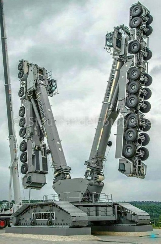 ��� ���?)).MOTOR - ������������� ������