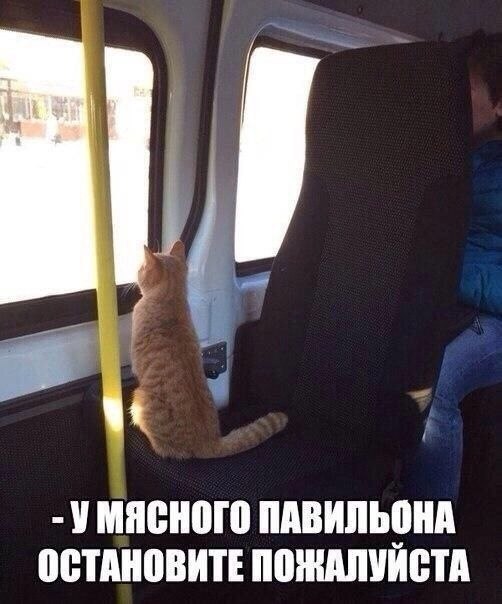    - 13  2022  14:31