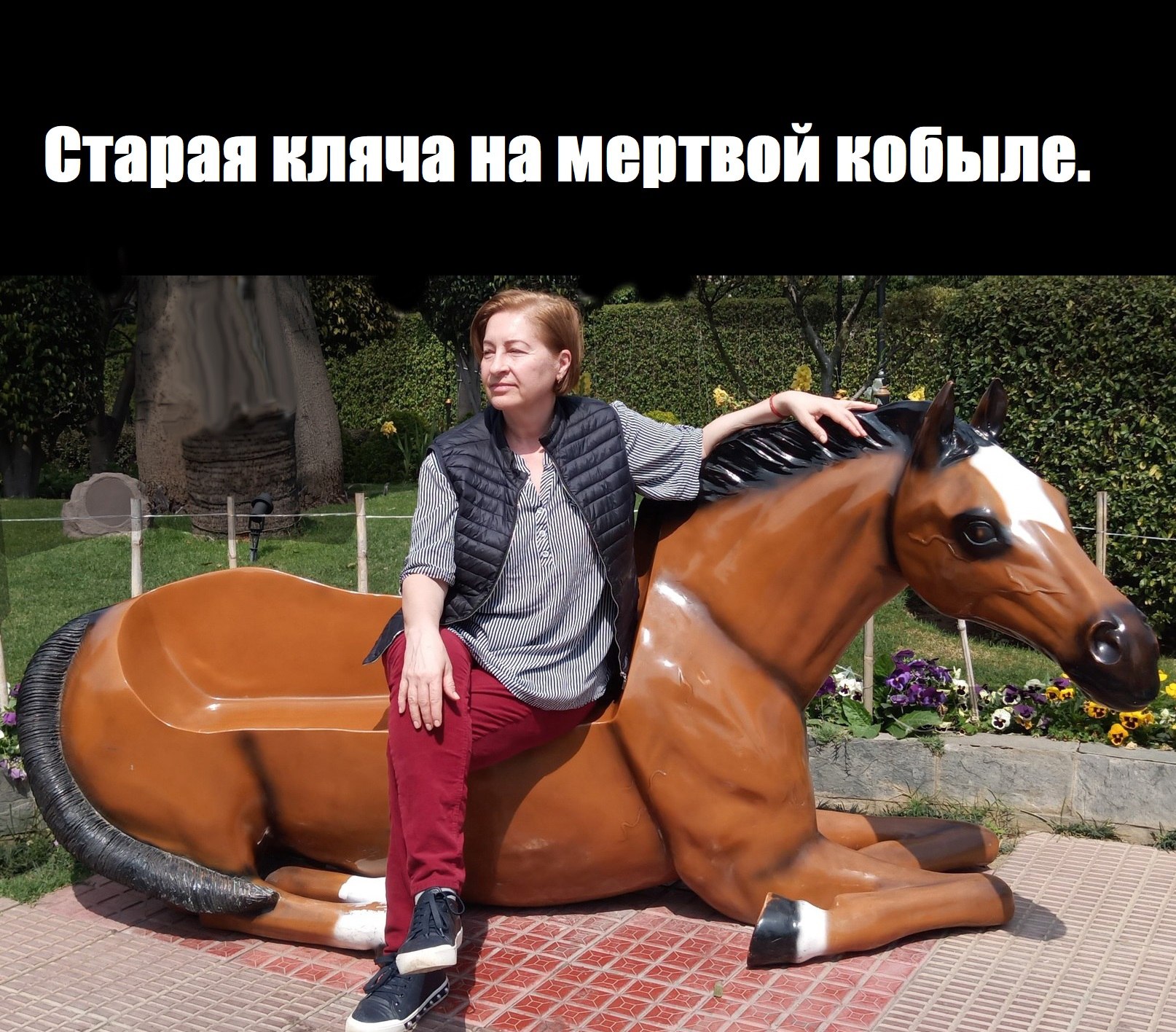   - 26  2022  11:55