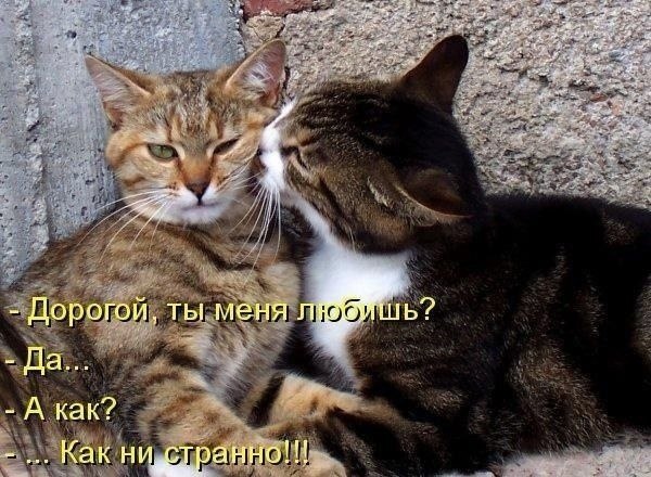    - 21  2022  21:12