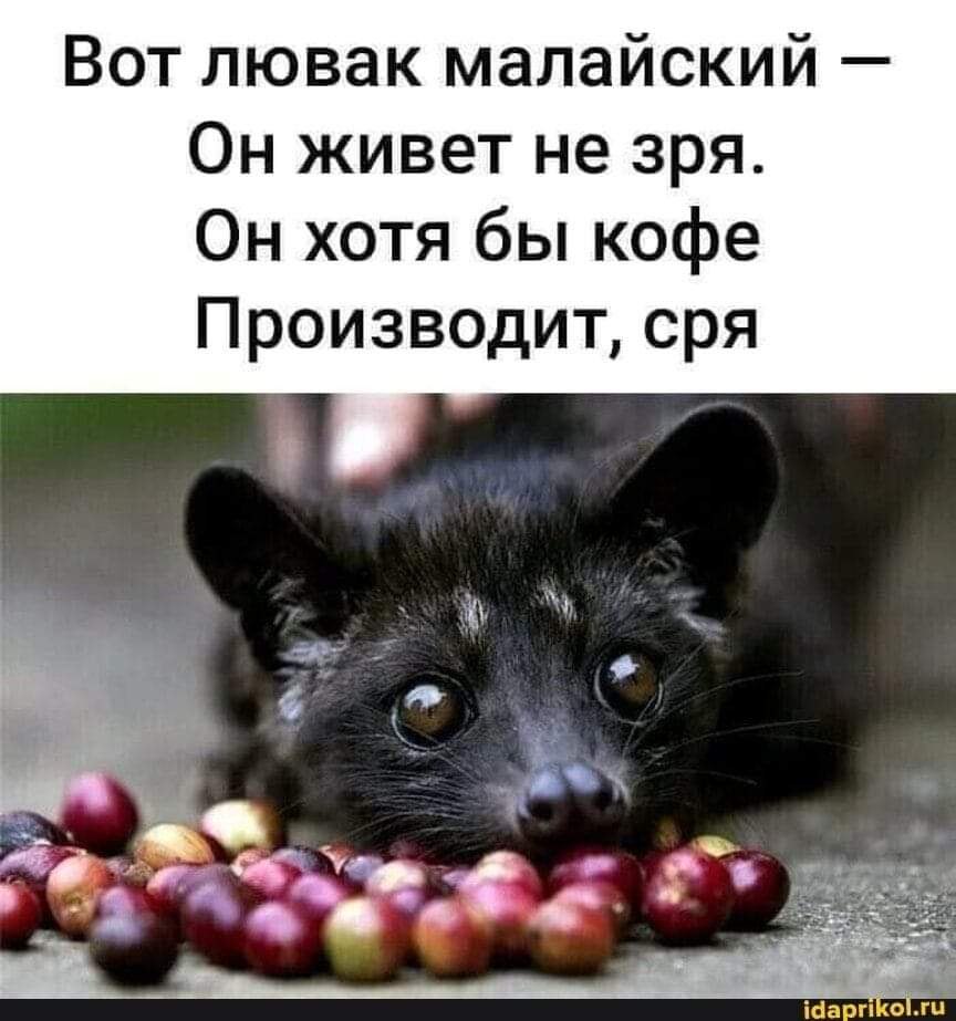 :)    ?