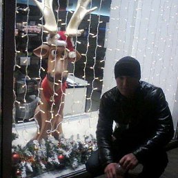 �������, �����, 37 ���