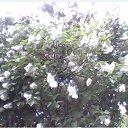 ���� Viktor, ����������� - ��������� 18 ������� 2022 � ������ ���� ����������