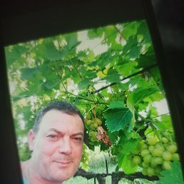 ���� Anatolie, �������, 55 ��� - ��������� 14 ������� 2022