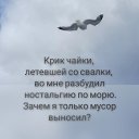 ���� ������, �����-���������, 53 ���� - ��������� 16 ������� 2022 � ������ �����������