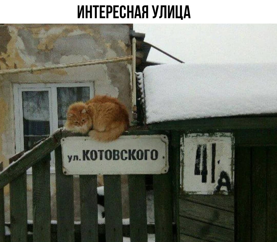    ! - 28  2022  13:00