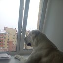 ���� Gleb, ��������� - ��������� 16 ������� 2022 � ������ ������ ��������