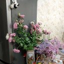 ���� �������, ������-��-����, 67 ��� - ��������� 17 ������� 2022 � ������ ���� ����������