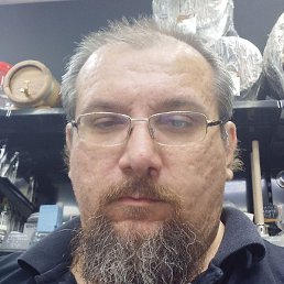 ���������, �������, 41 ���