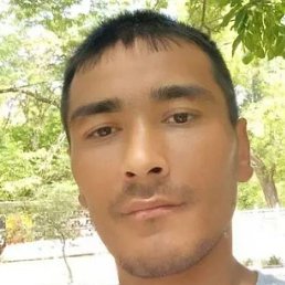 �����, ������, 37 ���