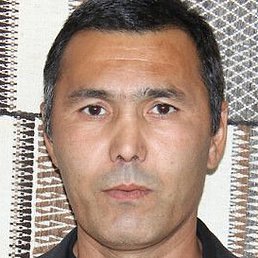 �����, �������, 43 ����