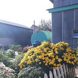 �������, ����, 63 ����