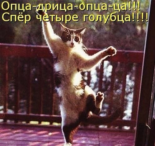 ��� �������� �������� - 2 ������� 2022 � 23:21