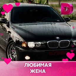 �������, �����, 48 ���