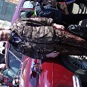 ���� ������, �����������, 49 ��� - ��������� 10 ��� 2022 � ������ ���� ����������