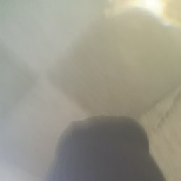 ����, ������, 66 ���