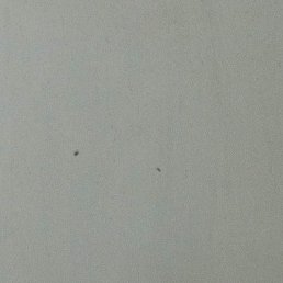 ������, �������, 44 ����