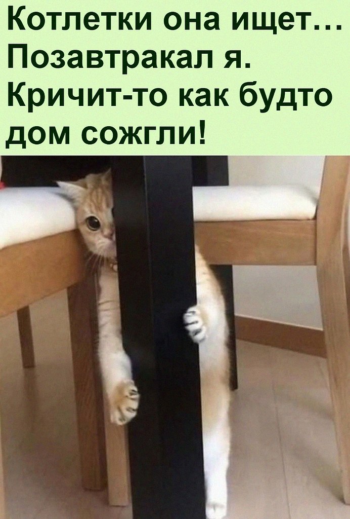 ������ ��������� :D - 22 ������� 2022 � 06:34