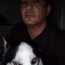 ���� ������, �������, 46 ��� - ��������� 3 ������ 2022