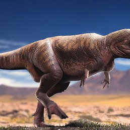 �����, ������, 63 ����