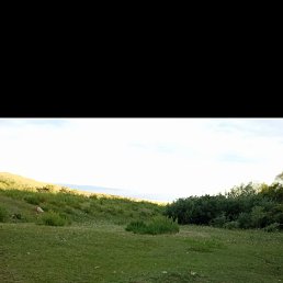 �����, ��������, 42 ����