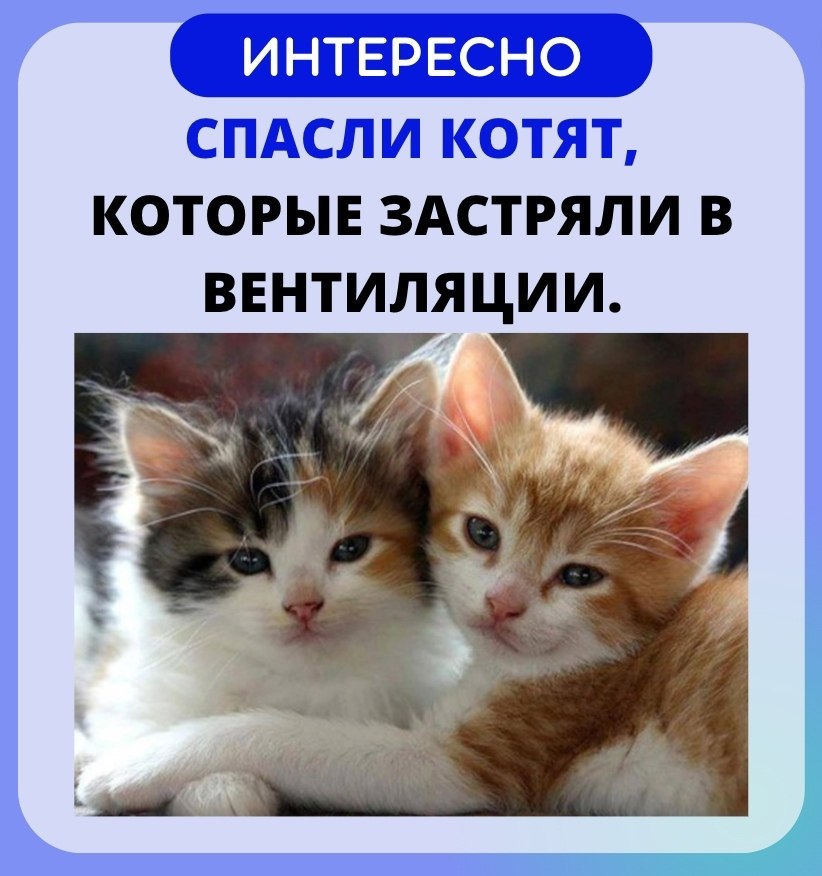   - ! - 5  2022  20:39