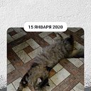 ���� ������, ������������ - ��������� 4 ������ 2022