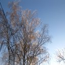 ���� �����, ����������� - ��������� 6 ������ 2023 � ������ ���� ����������