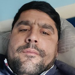 ������, ������, 37 ���