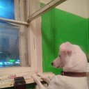 ���� ����, ������, 45 ��� - ��������� 16 ������ 2023 � ������ ���� ����������