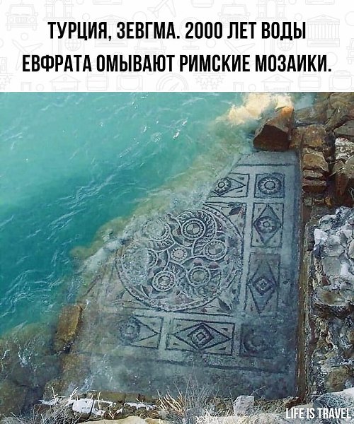 LIFE - новости - 1 мая 2022 в 14:58