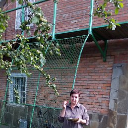 ���� �������., ������-��-����, 72 ���� - ��������� 5 ��� 2022