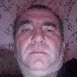 ����, �������, 43 ����