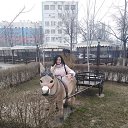 ���� �������, ���������, 52 ���� - ��������� 31 ����� 2022 � ������ ���� ����������